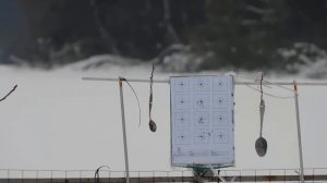 Люман 5,5 мм, вес 1,5 грамма, Доберман на 34 метра.