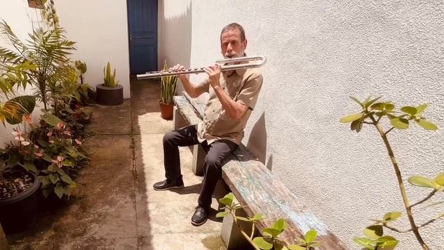 Samba do Avião" de Tom Jobim. Flauta baixo: Paulo Pascali Junior. смотреть онлайн