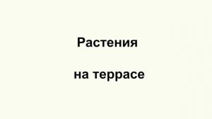 Фрагменты онлайн курса Оксаны Хлебородовой "Сад на рельефе"