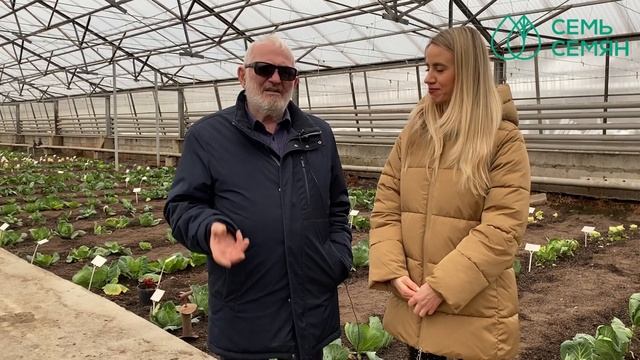 Как проходит селекция капусты в Тимирязевской академии! смотреть онлайн