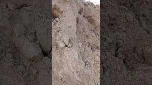 Песок  горный и мытый