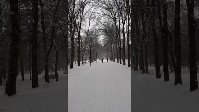 Снегопад в Новосибирске.