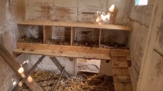 Ейск?Работаем на участке. Курятник к зиме готов? Где найти опилки?? У нас в гостях Ольга...