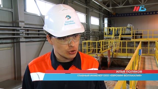 Экология в порядке: у предприятия в Котельниковском районе растут краснокнижные тюльпаны смотреть онлайн