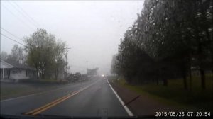 Large Dog Gets HIT by a Car (GRAPHIC VIDEO)