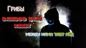 Грибы между нами тает лёд DJ Славунтич Bamboo Bass ремикс