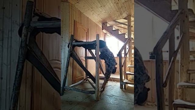 Тренажёр Кардополова (Соболева) смотреть онлайн