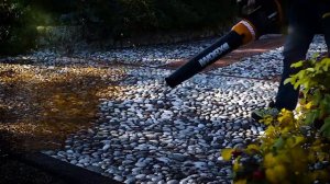 Воздуходувка аккумуляторная WORX AIR TURBINE WG546E, 20 В