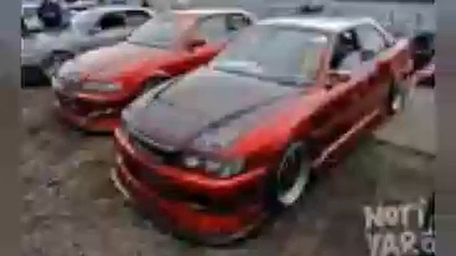 Дикая львица ты моя царица смотреть онлайн