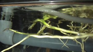 Работа перелива Дюрсо