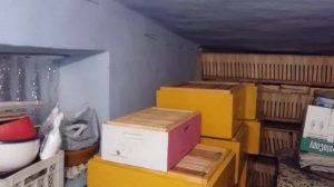 Сотохранилище