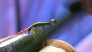 Бормаш Gammarus