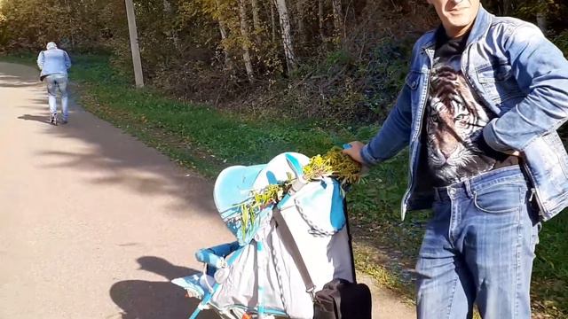 Осенняя семейная прогулка многодетной семьи Ганиевых. смотреть онлайн