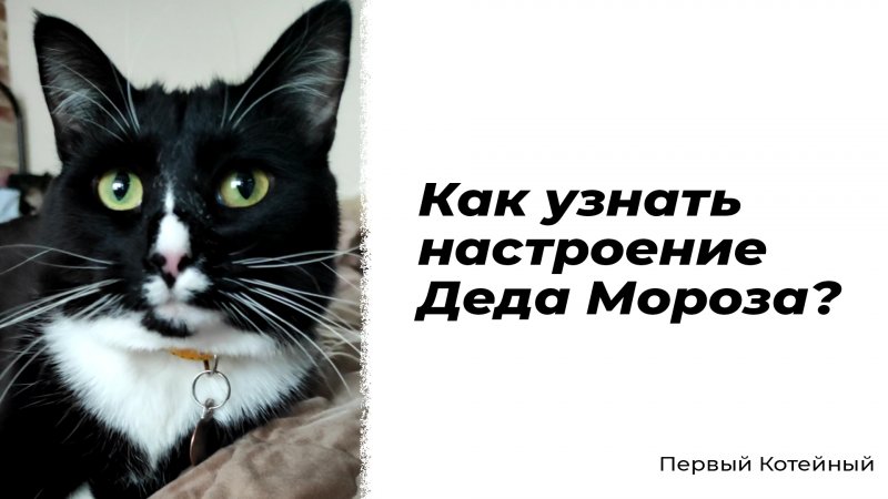 Как узнать настроение Деда Мороза? ??