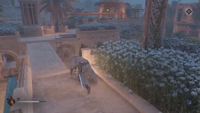 Assassin's Creed Mirage Parkour/Stealth