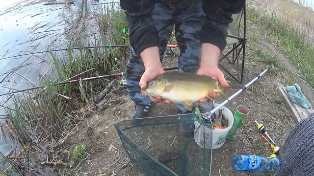 ОЗЕРО КЕШИТ КАРАСЯМИ! ЛОВЛЯ КАРПА И КАРАСЯ НА ПОПЛАВОК! РАЙ ДЛЯ ПОПЛАВОЧНОЙ ЛОВЛИ!!!! смотреть онлайн