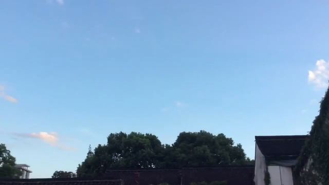 Художник даёт нам возможность познать неосуществленные цели природы. смотреть онлайн