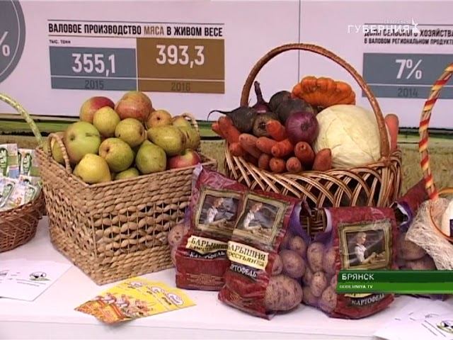 ВО ДВОРЦЕ ГАГАРИНА ПРОШЁЛ СЛАВЯНСКИЙ ЭКОНОМИЧЕСКИЙ ФОРУМ 20 10 17