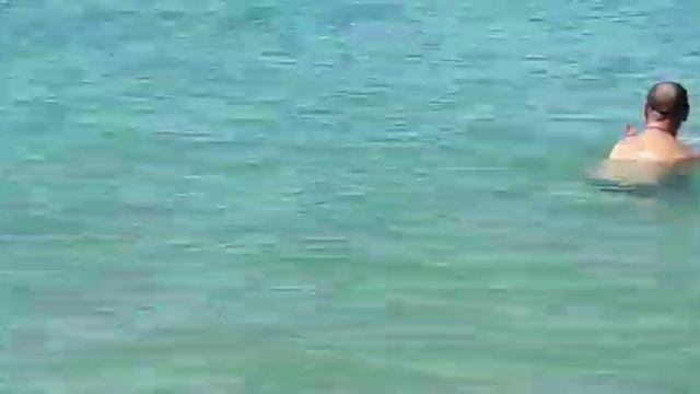 ОТДЫХАЕМ НА ЧЕРНОМ МОРЕ .ДЕЛЬФИНЫ К НАМ ПРИПЛЫВАЮТ ИМ ТОЖЕ НРАВИТСЯ НА  БУГАЗСКОЙ КОСЕ.