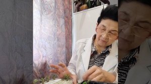 Адениум: пересадка малышей