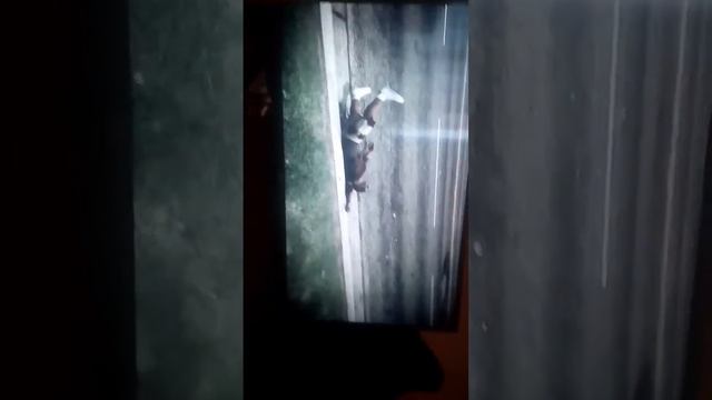 Гта 5 смертельный паркур смотреть онлайн