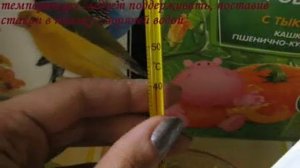 Как выкармливать птенцов волнистого попугая