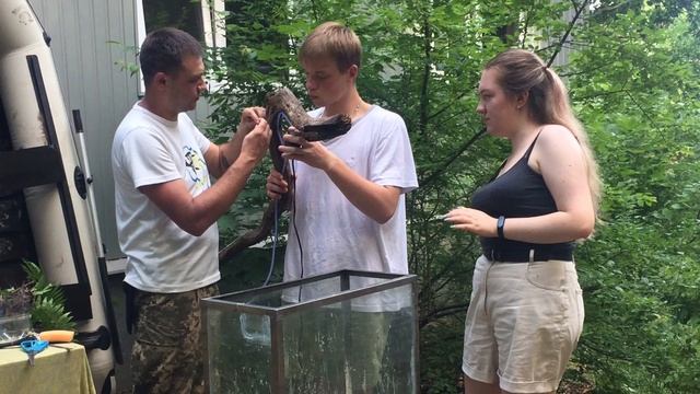 Как сделать палюдариум дома? смотреть онлайн