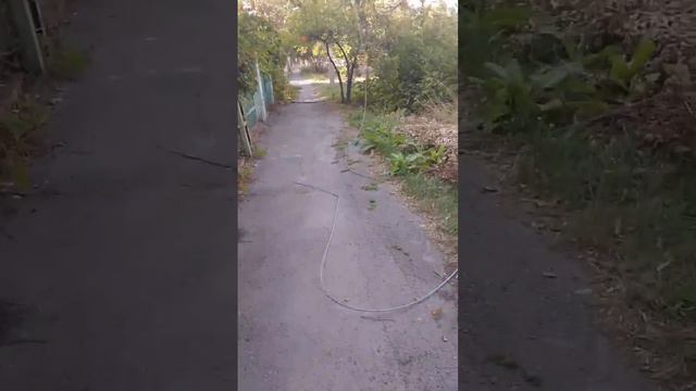 В Батайске по улице Ленина оборвался провод линии электропередач. Будьте осторожны!