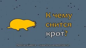 «Крот к чему снится во сне? Если видишь во сне Крот, что значит?»