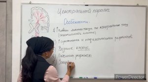 ОТЛИЧИЕ ЦЕНТРАЛЬНОГО И ПЕРИФЕРИЧЕСКОГО ПАРАЛИЧА- Difference between central peripheral palsy.