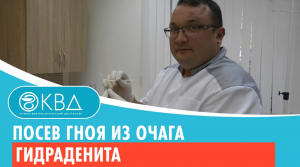 ✅ Посев гноя из очага гидраденита. Клинический случай №555