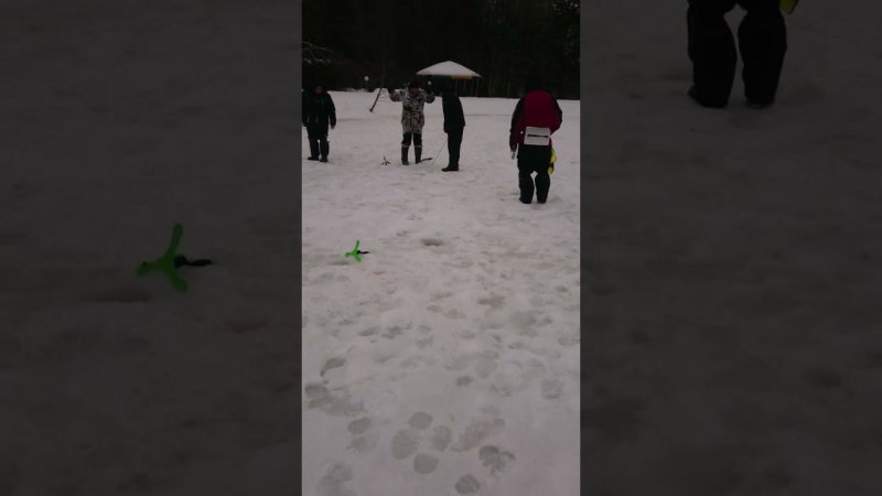 На пассив