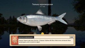 Русская Рыбалка 4 ► Russian Fishing 4 ► Река Северский Донец - Тюлька!