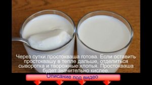Простокваша из козьего молока
