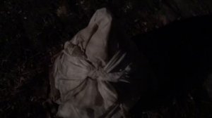 ? Завершение Укрытия Магнолии на Зиму.