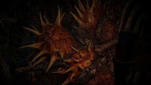 The Witcher 3. Шепчущий холм - освобождение духа