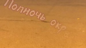 Помоги мне, мой ангел снизошедший(дмо) #дмо #духмоейобщаги 