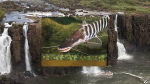 Самые дорогие аквариумные рыбки/The most expensive aquarium fish