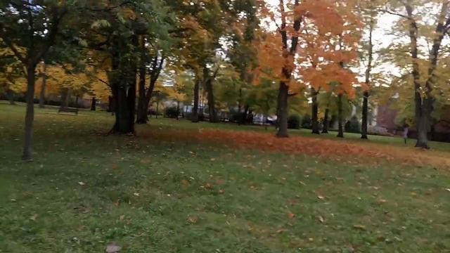 Прогулка в парке - 2 часть. Forst (Lausitz)-Deutschland смотреть онлайн