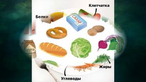 "Правила здоровой жизни", Окружающий мир 4 класс ч.1, с.58-71, Школа XXI век.