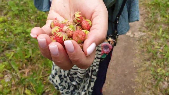 У горы Куштау. Часть вторая.