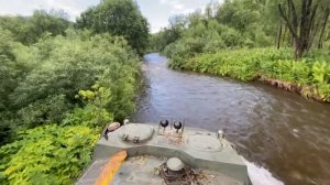 По Сибирской тайге на МТЛБ. Таёжный off-road!  Вездеход для Экстремального бездорожья.