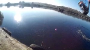 Рыбалка. Ловля окуня на джиг в октябре