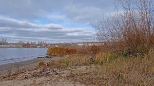 04.11.2023. Воды нет,рыбы нет,страдаю всякой ерундой!
