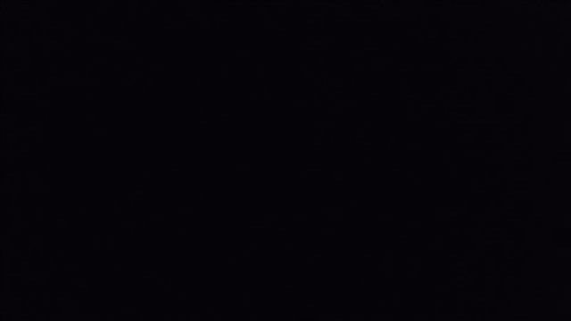 Прямая трансляция из Самарского питомника Мейн Кунов Main Stream Royal