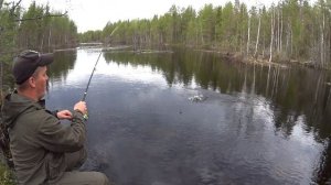 Рыбалка в Карелии.Pre-roll. Преролл. Карелыч В Лесу