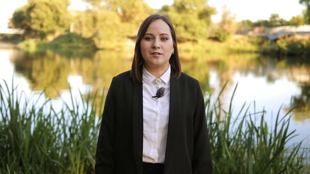 Бесплатное банкротство через МФЦ. Как подать заявление