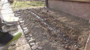 Как посадить ирисы весной в открытый грунт. Очень легко и просто!!!