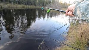 ОГОНЬ ПОГОДКА! НАЧАЛИ ЗАКРЫВАТЬ ЛЕТНЮЮ РЫБАЛКУ! ШИКАРНОЕ КЛЁВОЕ МЕСТО И ОТЛИЧНАЯ КОМПАНИЯ РЫБАКОВ!