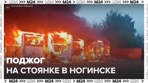 Причиной пожара на автостоянке в Ногинске мог быть поджог - Москва 24
